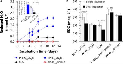 Humic Substances Mediate Anaerobic Methane Oxidation Linked to Nitrous Oxide Reduction in Wetland Sediments